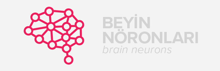 vector, brain neurons