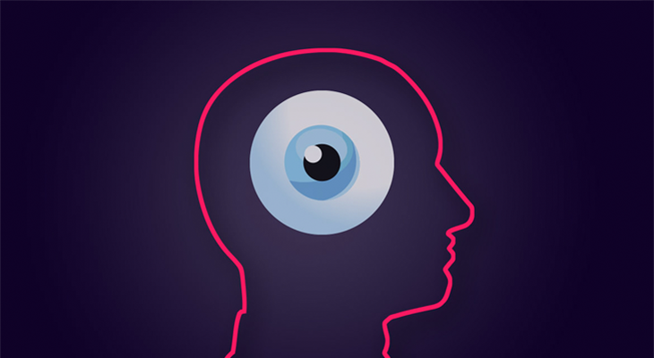 brain visual cortex eye perceiving