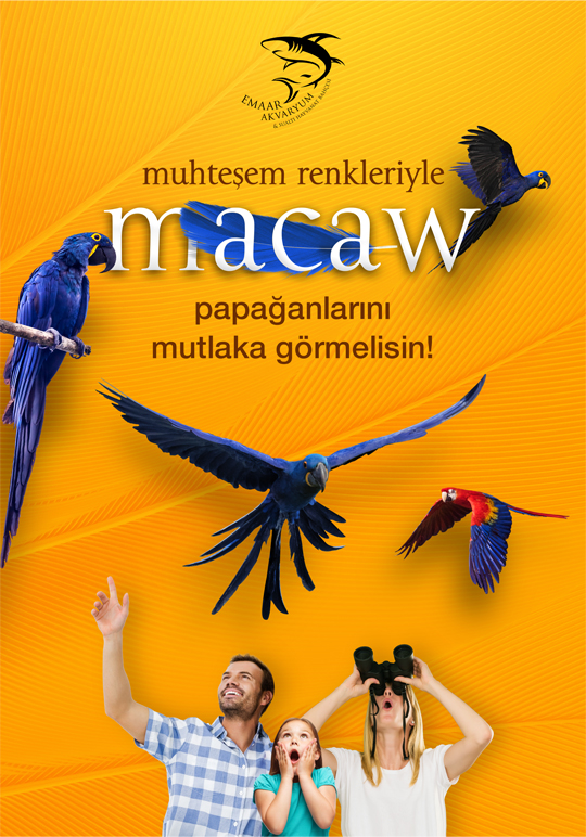 emaar aquarium macaw parrot keyvisual design