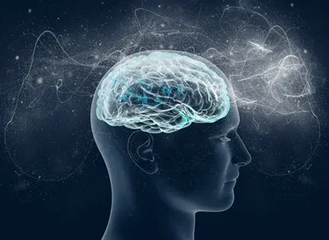 İnsan Beyninin Evrimi: Algı, Pazarlama ve İnsan Odaklı Tasarım
